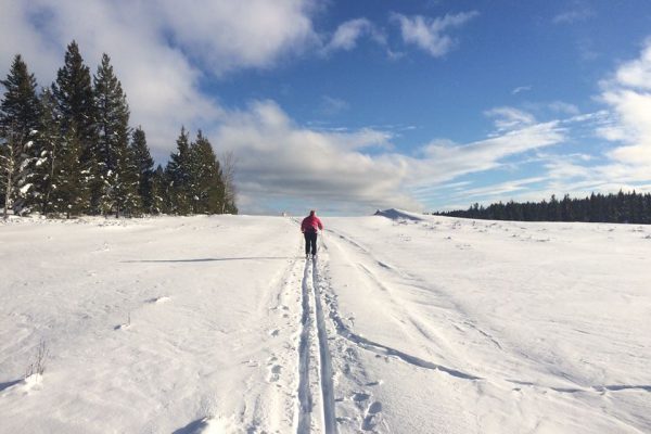 Nordic Skiing at Chimney & Felker Lakes