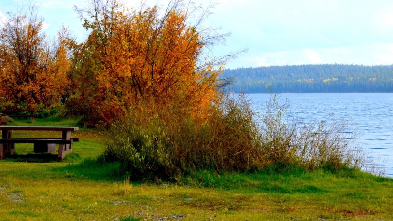 Camping at Chimney & Felker Lake