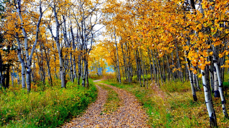 Trails at Chimney Lake Chimney Trails