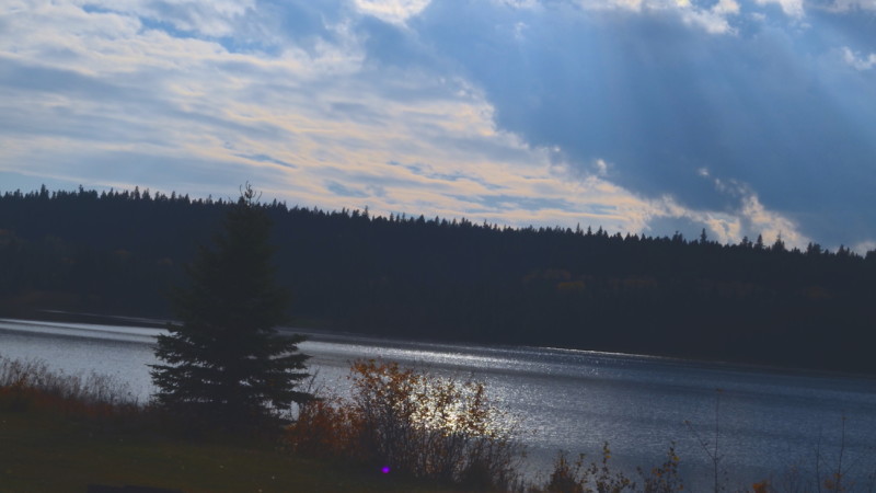 Felker Lake day use area Felker Lake day use area